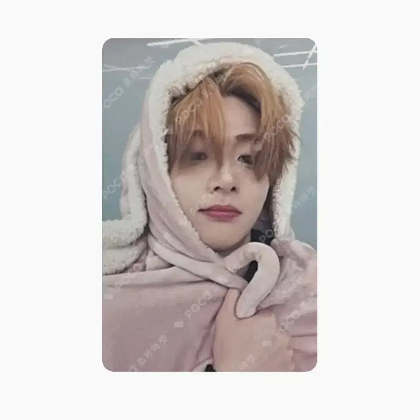 알디원 상원 토담포카 판매합니다