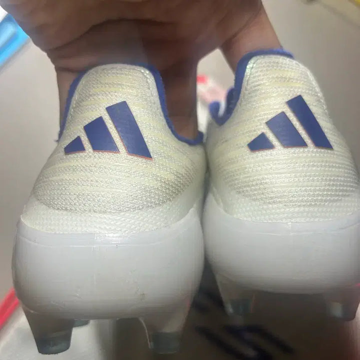 [BUNJANG] Elite AG 260 / F50 엘리트 ag 260