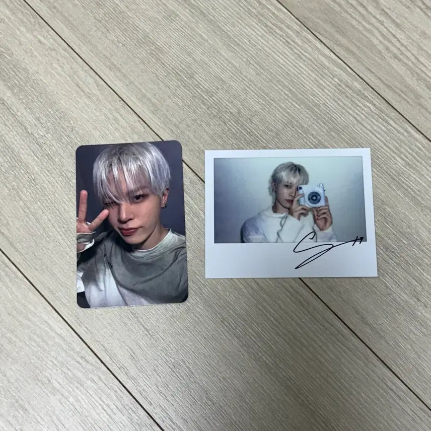 트레저 정환 포카 일괄