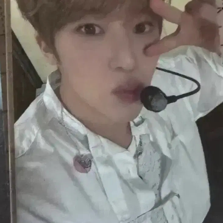 엔시티위시 wish 뮤직코리아 럭키드로우 럭드 오시온 시온 포카 양도