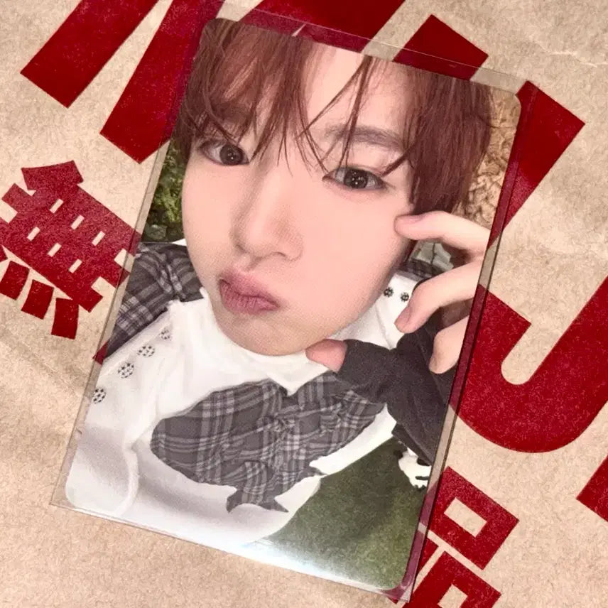 [BUNJANG] NCT WISH Sakuya Color Photocard / 엔시티 위시 컬러 사쿠야 포카