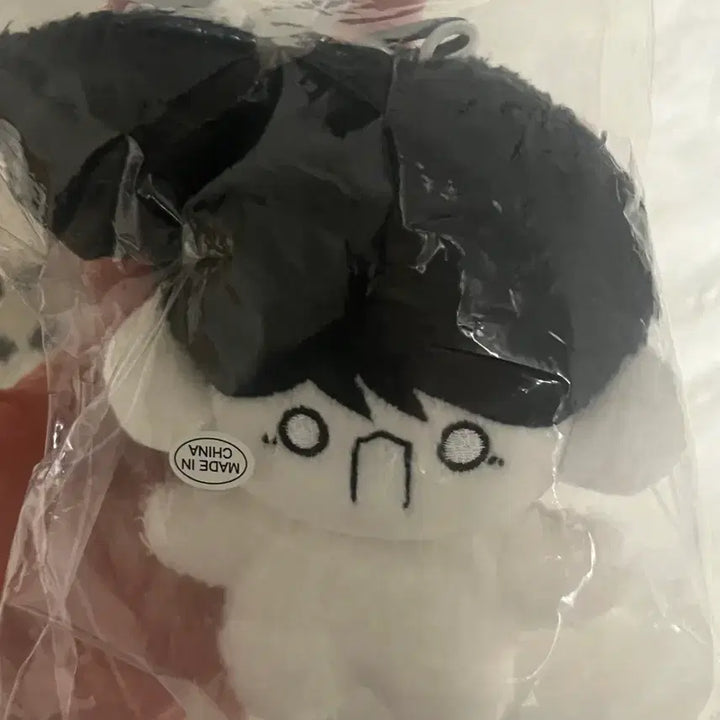 [BUNJANG] BOYNEXTDOOR Woonhak Doll / 웅한운 미개봉 새상품 보이넥스트도어 운학인형