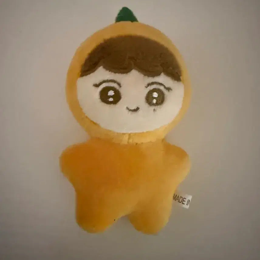 [SOLD OUT] 세븐틴 승관 뿌라봉