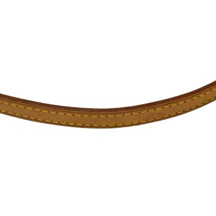 [BUNJANG] Louis Vuitton Vernis Lugsbury 2-Way Bag / 루이비통 베르니 룩스부리 2-way백 (정품)