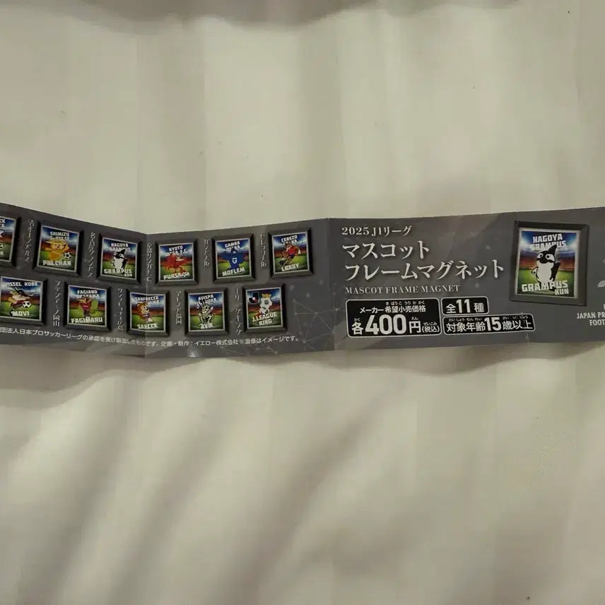 [BUNJANG] J League Mascot Magnet Gachapon / J리그 마스코트 마그넷 가챠