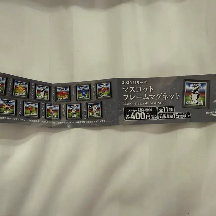 [BUNJANG] J League Mascot Magnet Gachapon / J리그 마스코트 마그넷 가챠