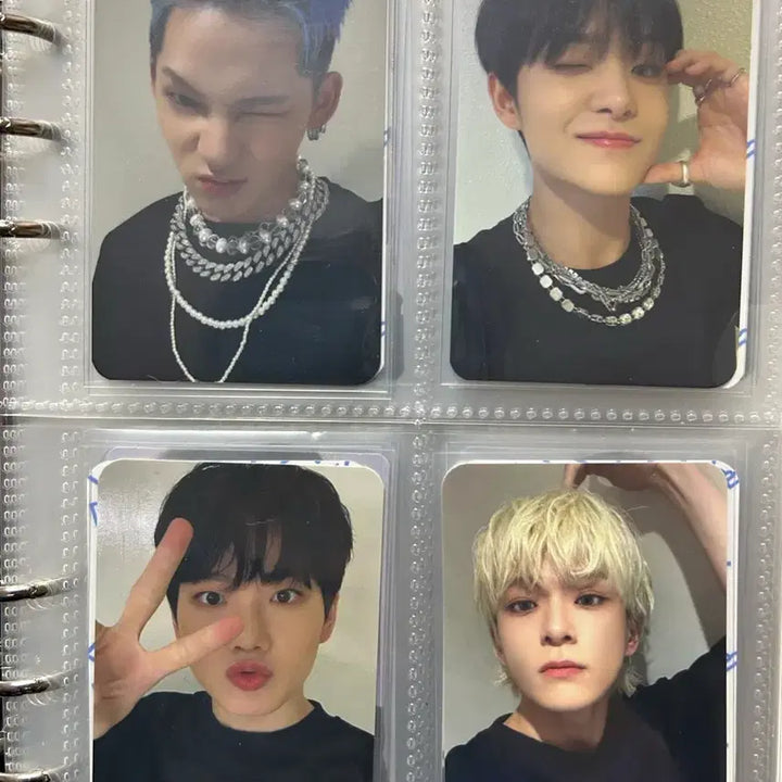 트레저 포카 바인더 현석 지훈 준규 아사히 재혁 도영 하루토 정우 정환