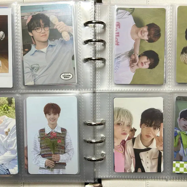 트레저 포카 바인더 현석 지훈 준규 아사히 재혁 도영 하루토 정우 정환