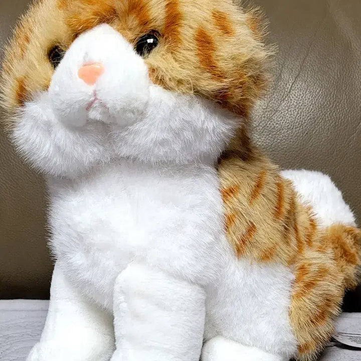[BUNJANG] NABI 25cm Cat Doll / NABI 25cm 고양이 인형(새상품)