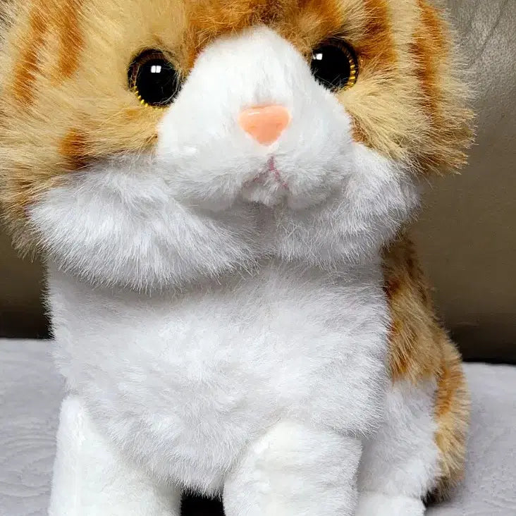 [BUNJANG] NABI 25cm Cat Doll / NABI 25cm 고양이 인형(새상품)