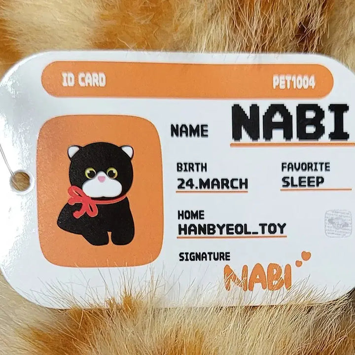 [BUNJANG] NABI 25cm Cat Doll / NABI 25cm 고양이 인형(새상품)
