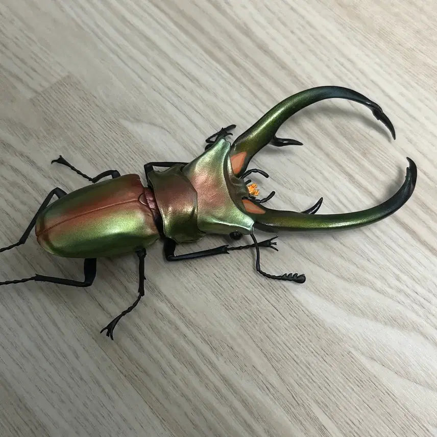 [BUNJANG] Elaphus Jaw Scissors / 생물대도감 엘라푸스 턱가위