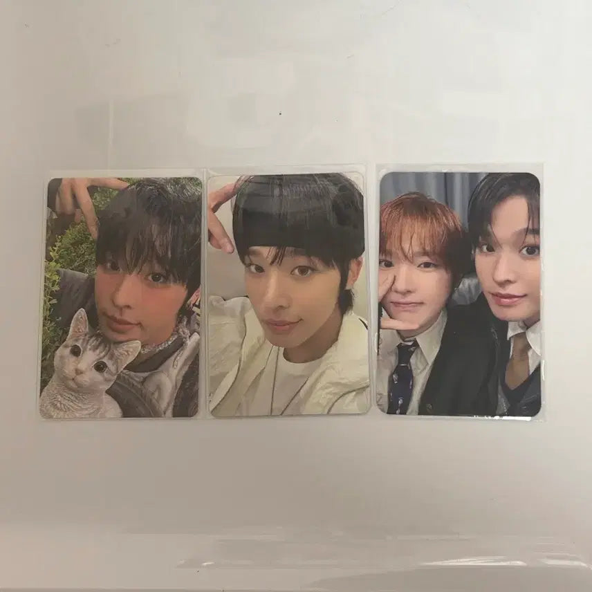 위시리스트 리쿠사쿠 유닛포카 리쿠포카 일괄