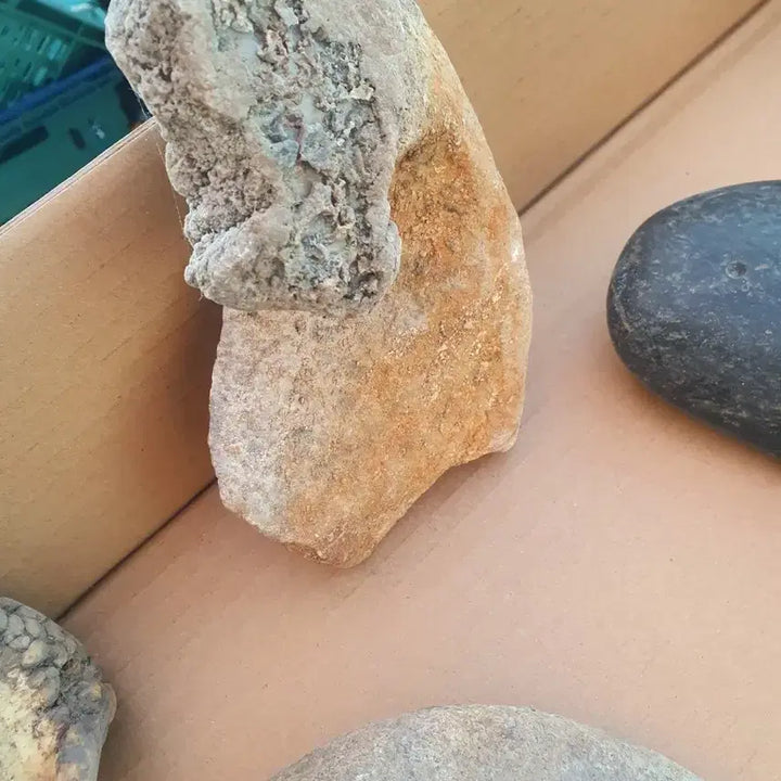 [BUNJANG] Natural Stone Collection / 모양돌 모음 자연석