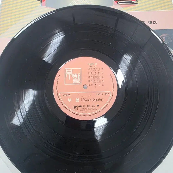 [BUNJANG] Buhwal Golden Vol. 1 LP Album / 부활 골든 제1집 LP 음반