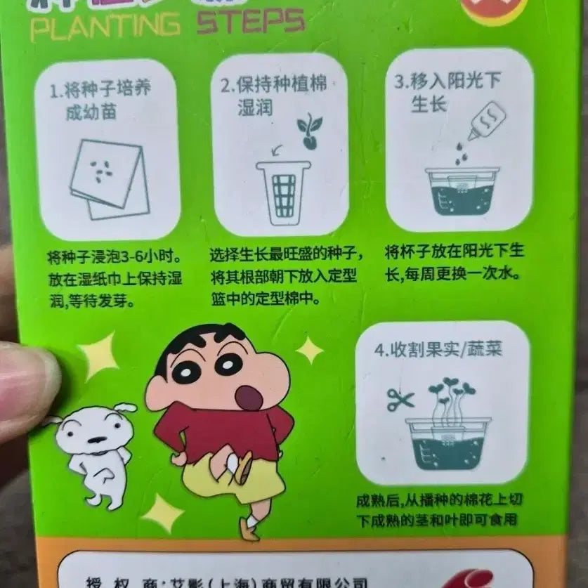 [BUNJANG] Crayon Shin-chan Hydroponics Kit / 짱구 수경 재배 키트 새제품