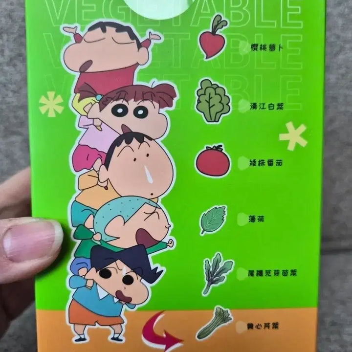 [BUNJANG] Crayon Shin-chan Hydroponics Kit / 짱구 수경 재배 키트 새제품