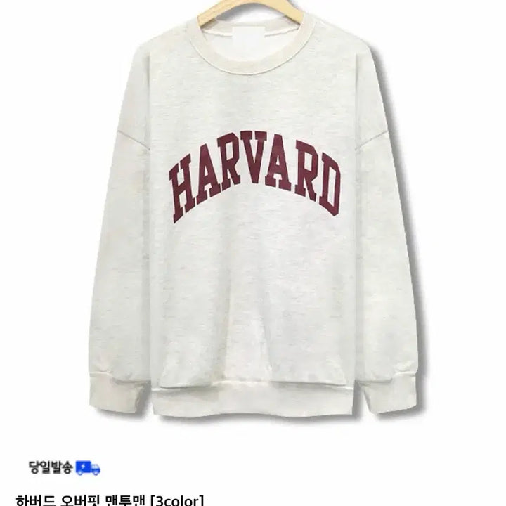 [BUNJANG] Harvard Oatmeal Oversized Fit Sweatshirt / 하버드 로고 오트밀 오버핏 맨투맨 프리사이즈