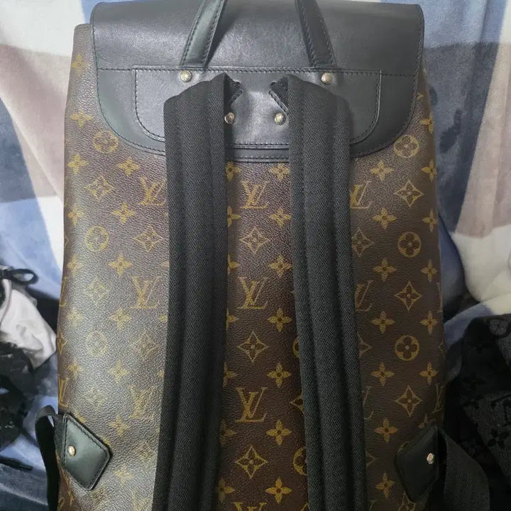 [BUNJANG] Louis Vuitton Macassar Backpack / 남자 루이비통 마카사르 백팩 추성훈 가방