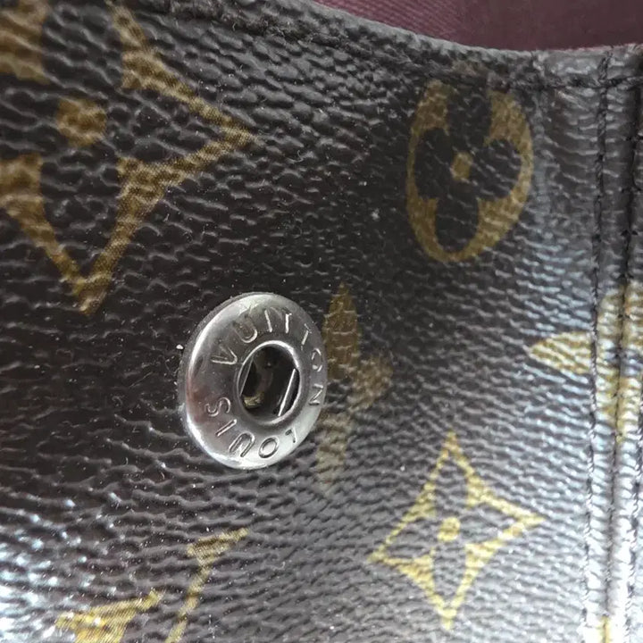 [BUNJANG] Louis Vuitton Macassar Backpack / 남자 루이비통 마카사르 백팩 추성훈 가방