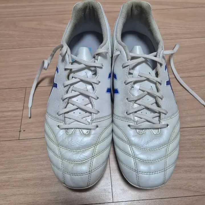 [BUNJANG] Asics DS Light Pro AG - 265 Size / 아식스 ds light pro ag 265