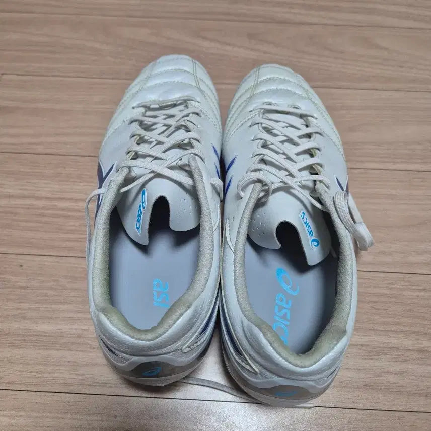 [BUNJANG] Asics DS Light Pro AG - 265 Size / 아식스 ds light pro ag 265
