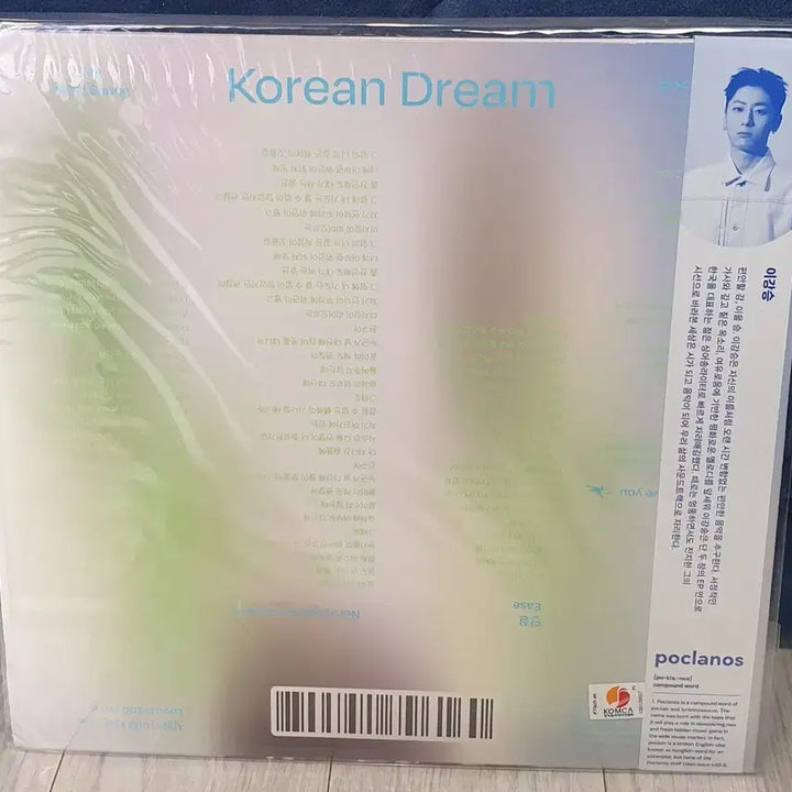 [BUNJANG] Lee Kangseung Korean Dream LP Vinyl Record / 이강승 Korean Dream LP 미개봉입니다