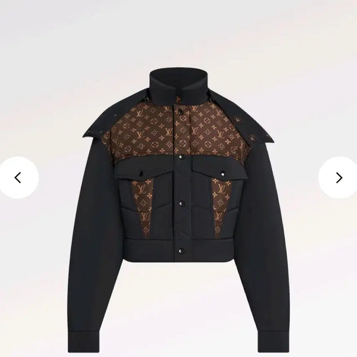 [BUNJANG] Louis Vuitton Monogram Padded Jacket / 루이비통 모노그램 패딩 자켓