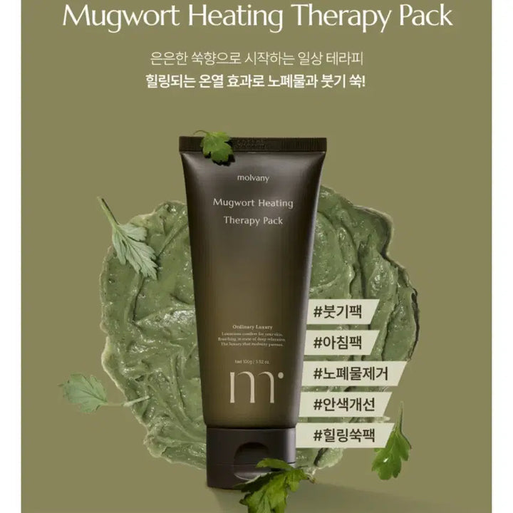 [BUNJANG] Molvany Mugwort Therapy Pack / molvany 몰바니 쑥뜸 테라피 팩 새상품
