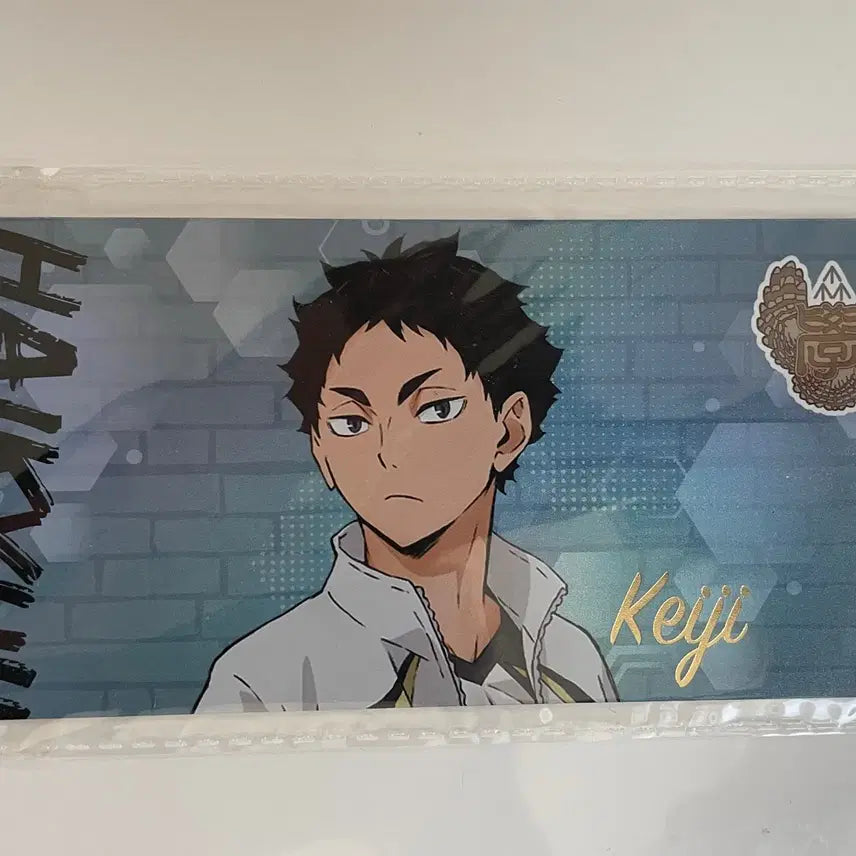 [BUNJANG] Haikyu Pop-Up Hard Laser Ticket / 하이큐 팝업 하드 레이저 티켓