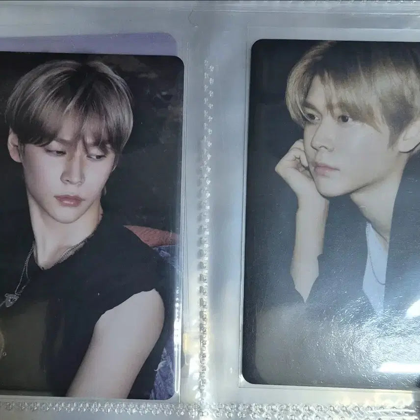 라이즈 은석 앨범 포토카드 일괄 판매