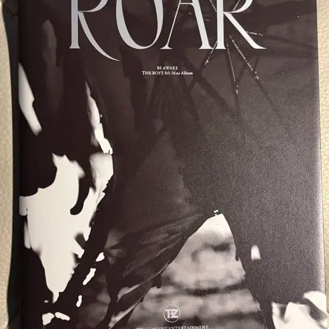 더보이즈 ROAR BE AWAKE 앨범