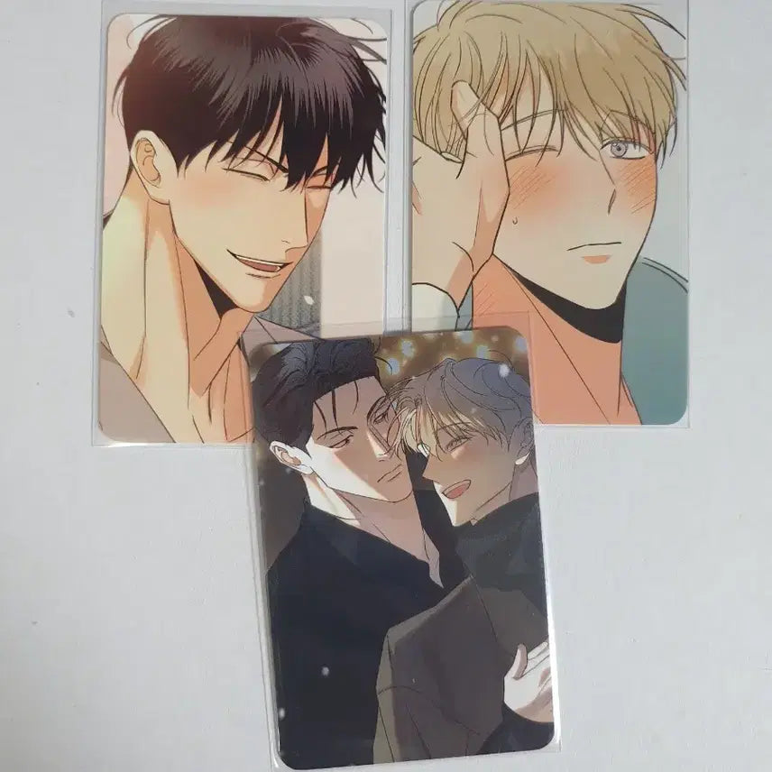 [BUNJANG] Dangerous Convenience Store Photocard Bundle Set / 위험한편의점 포카 포토카드 일괄
