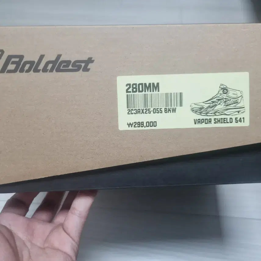 [BUNJANG] Boldest Vapor Shield 541 Safety Shoes / 볼디스트 Boldest 안전화 베이퍼쉴드541 팔아요. 사이즈 280