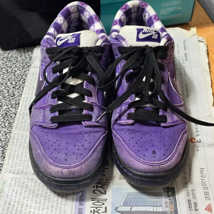 [BUNJANG] Nike SB Dunk Low Concepts Purple Lobster Sneakers / [250] 나이키 SB 덩크 로우 컨셉트 퍼플 랍스터 레귤러 박스