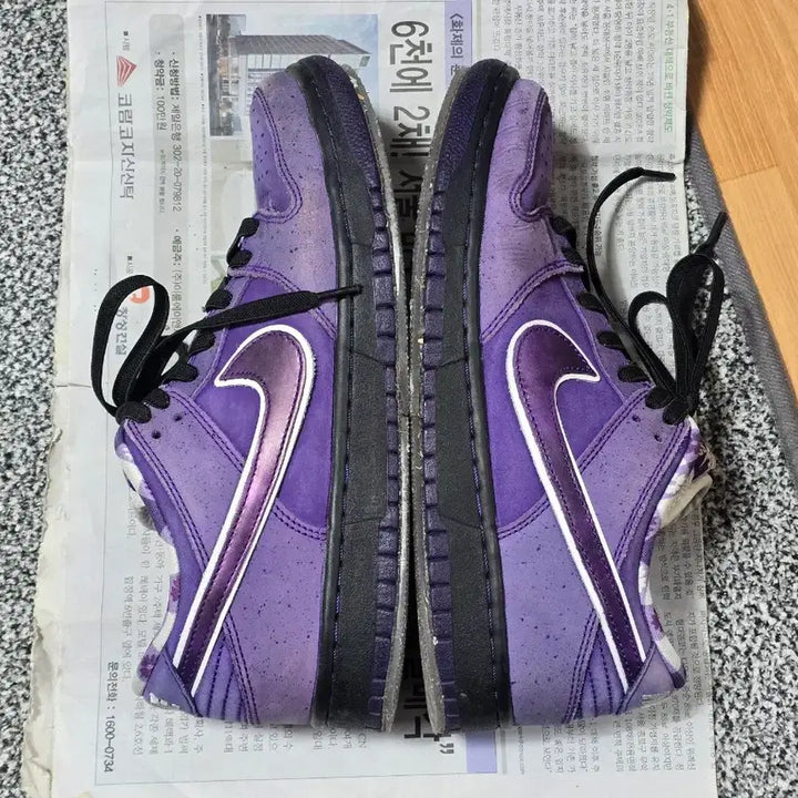 [BUNJANG] Nike SB Dunk Low Concepts Purple Lobster Sneakers / [250] 나이키 SB 덩크 로우 컨셉트 퍼플 랍스터 레귤러 박스