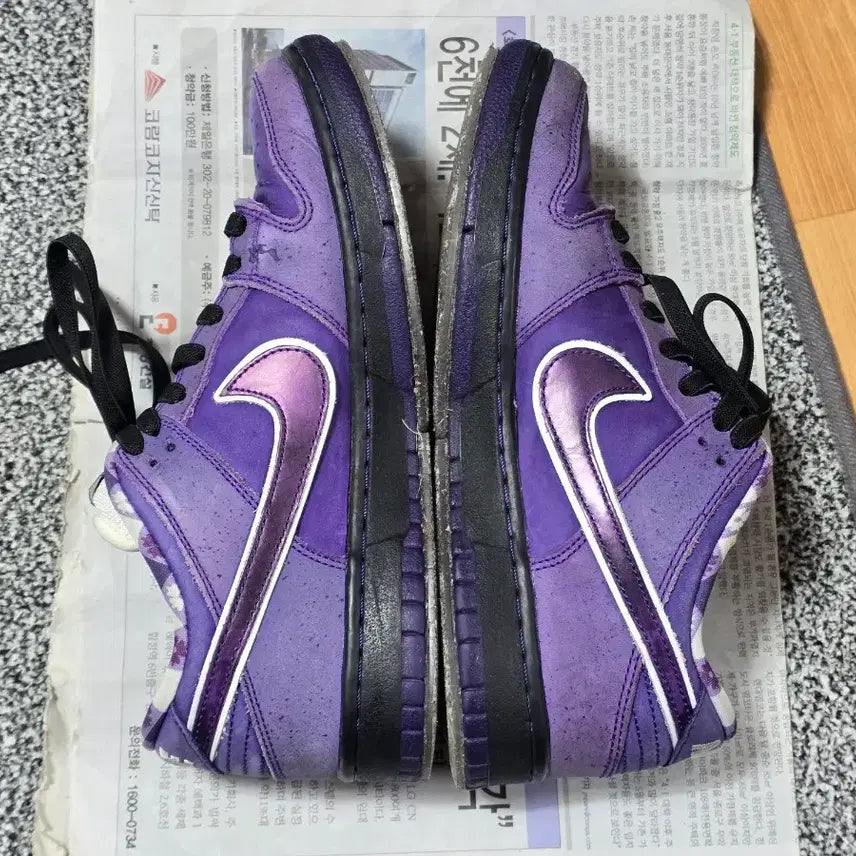 [BUNJANG] Nike SB Dunk Low Concepts Purple Lobster Sneakers / [250] 나이키 SB 덩크 로우 컨셉트 퍼플 랍스터 레귤러 박스