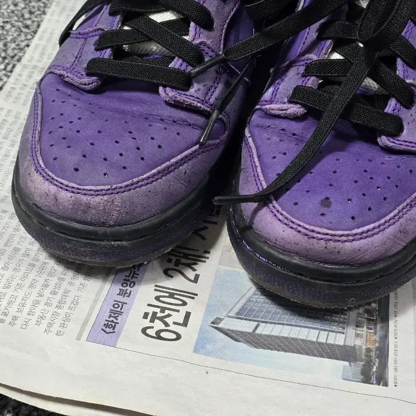 [BUNJANG] Nike SB Dunk Low Concepts Purple Lobster Sneakers / [250] 나이키 SB 덩크 로우 컨셉트 퍼플 랍스터 레귤러 박스