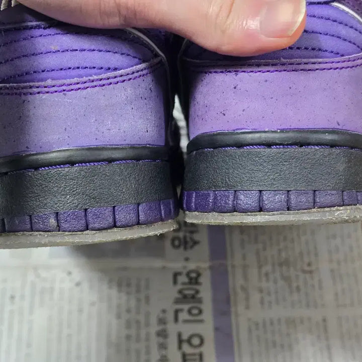 [BUNJANG] Nike SB Dunk Low Concepts Purple Lobster Sneakers / [250] 나이키 SB 덩크 로우 컨셉트 퍼플 랍스터 레귤러 박스