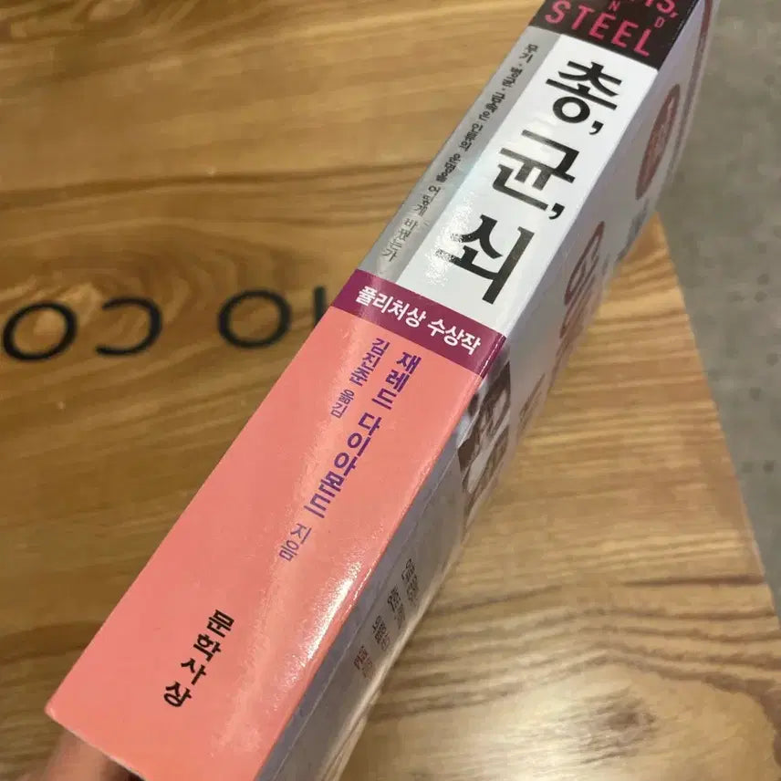 [BUNJANG] Guns, Germs, and Steel / 총균쇠