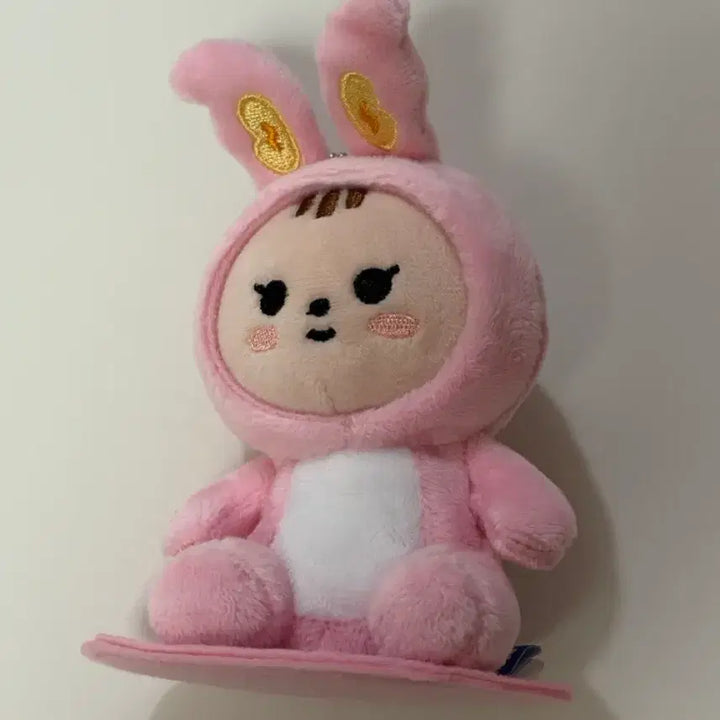 [SOLD OUT] 세븐틴 정한 공식인형 미니틴 쫑토람 양도