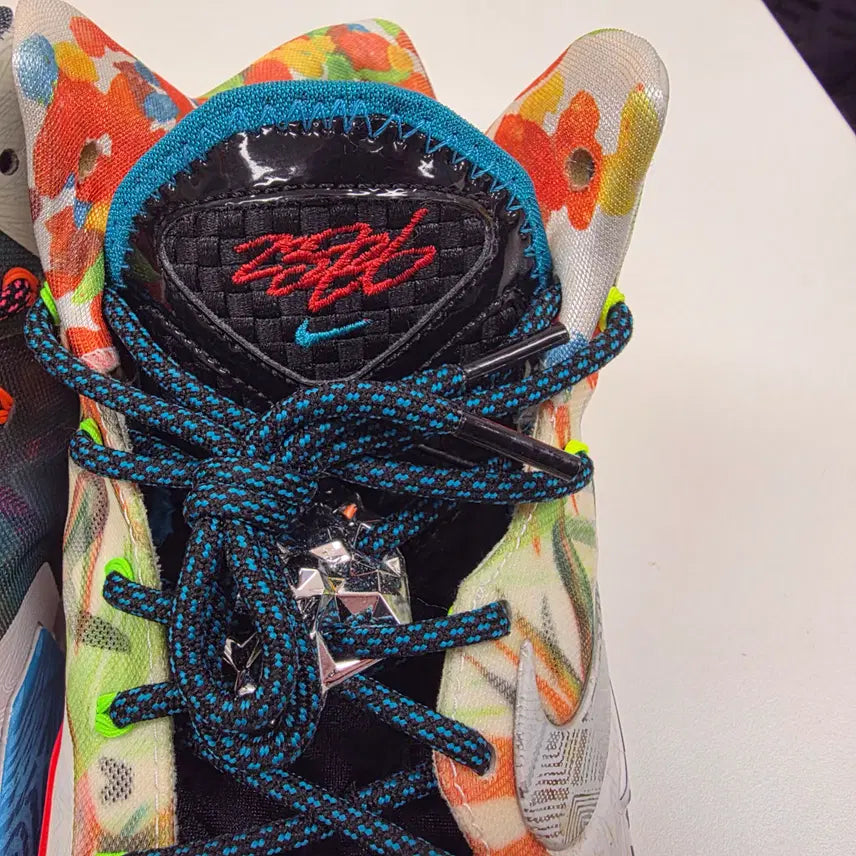 [BUNJANG] What the LeBron 11 / [290 2회 착용] 왓더 르브론11