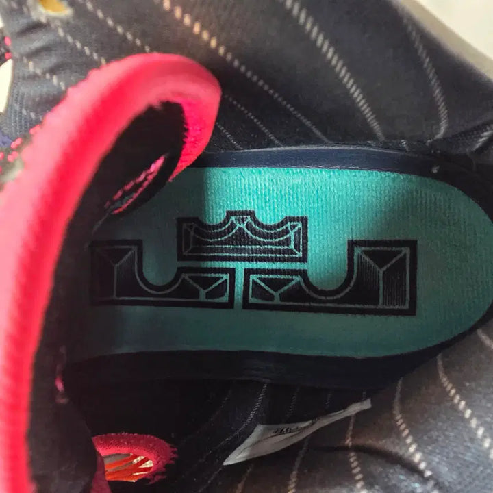 [BUNJANG] What the LeBron 11 / [290 2회 착용] 왓더 르브론11