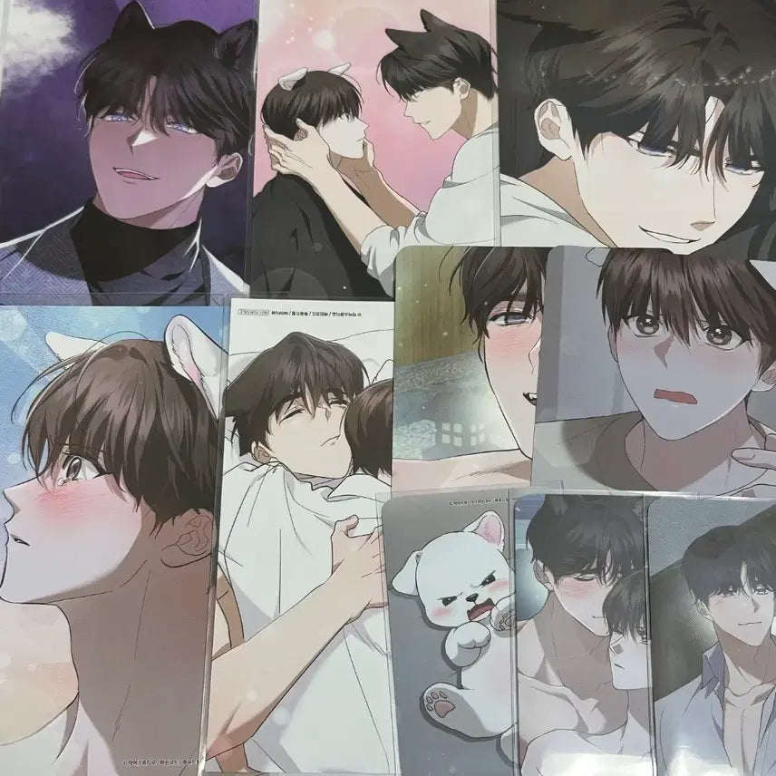 [BUNJANG] 강아지는 건드리지 마라 강건마 BL 아크릴 색지 특전 포카 엽서 굿즈 / 강아지는 건드리지 마라 강건마 BL 아크릴 색지 특전 포카 엽서 굿즈