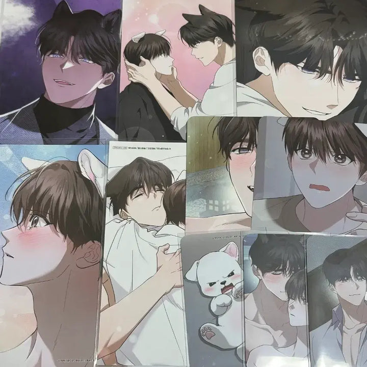 [BUNJANG] 강아지는 건드리지 마라 강건마 BL 아크릴 색지 특전 포카 엽서 굿즈 / 강아지는 건드리지 마라 강건마 BL 아크릴 색지 특전 포카 엽서 굿즈