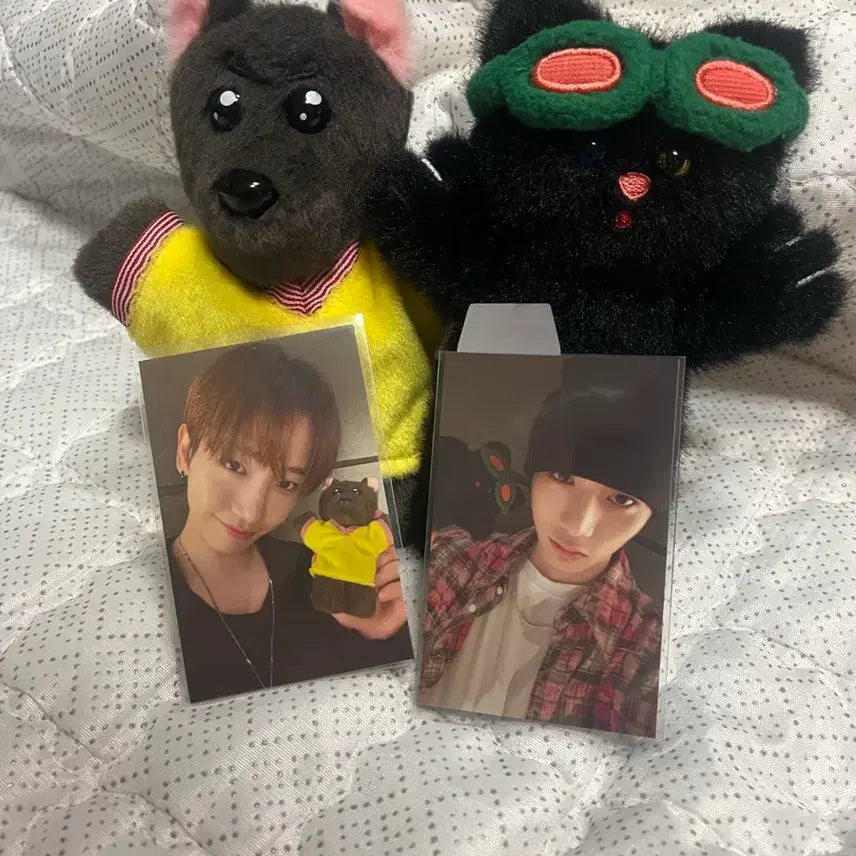 [BUNJANG] BOYNEXTDOOR Jaehyun Taesan Doll / 보넥도 재현 태산 인형 팔아요!