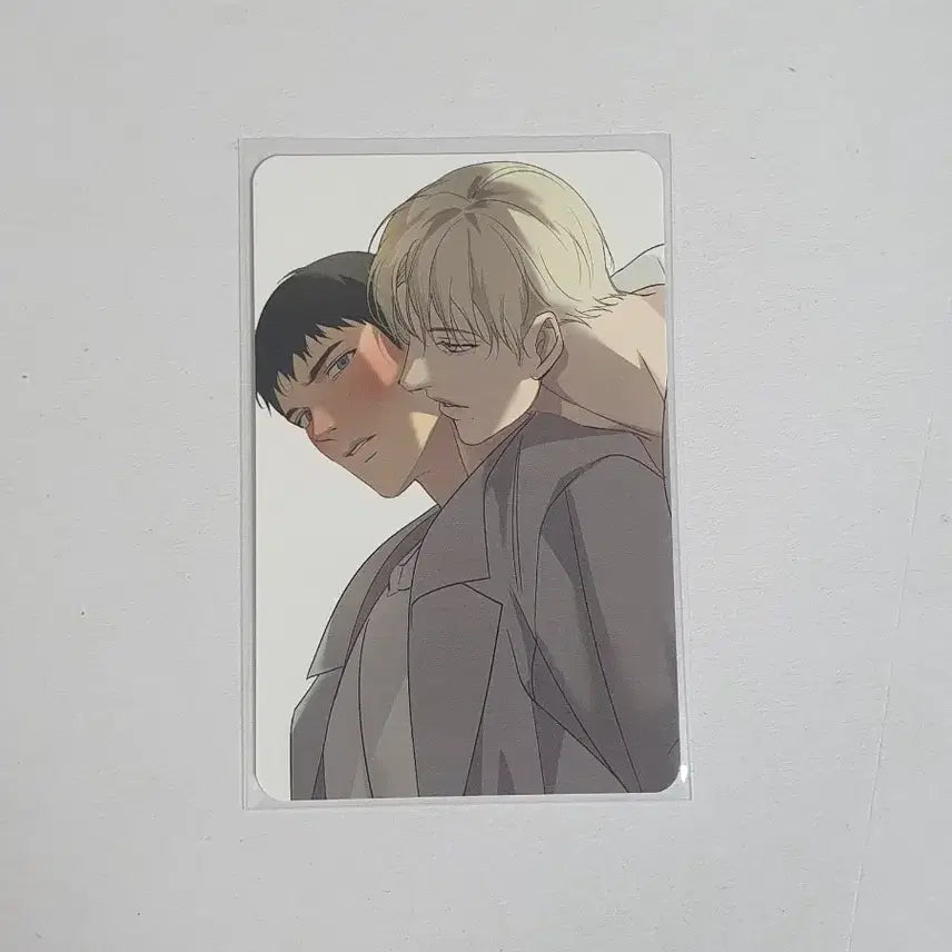 [BUNJANG] Backlight Collection Photocard / 백라이트 컬포 포카