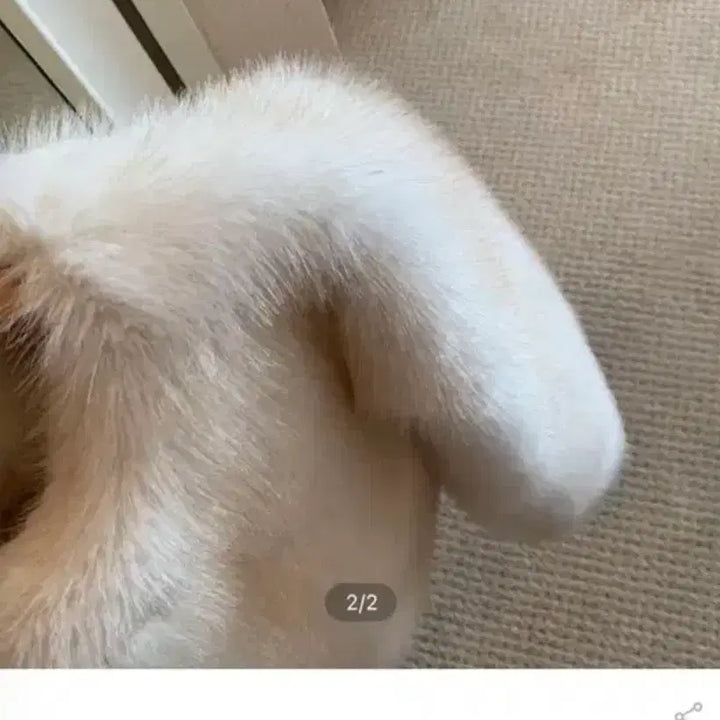 [BUNJANG] Lapalier Ritz Fur Jacket / 라플리에 리츠 퍼자켓