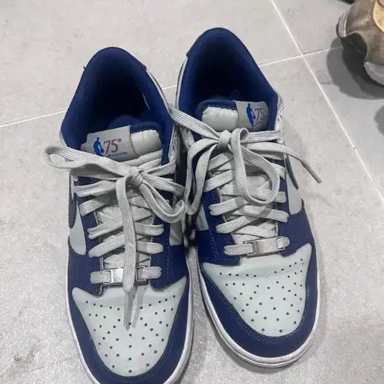 [BUNJANG] Nike x NBA Nets GS Dunk Low / (GS) 나이키 x NBA 덩크 로우 네츠