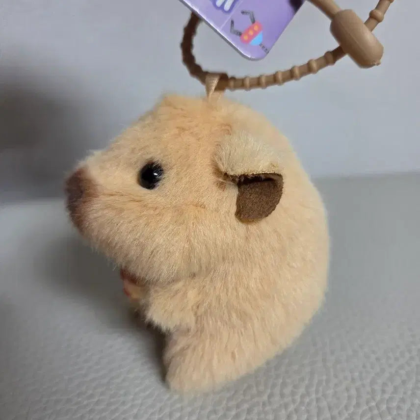 [BUNJANG] Keyring / 카피바라 인형 키링